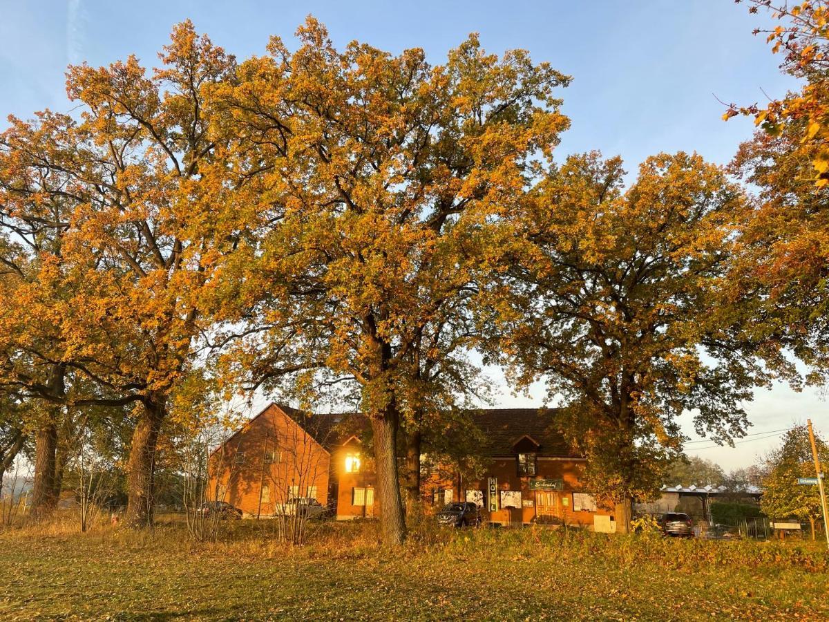 Eichenhof Hotel Garni Грос-Кёрис Экстерьер фото